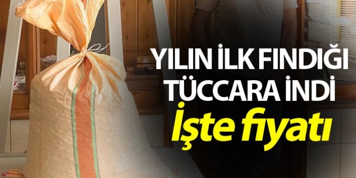 Yılın ilk fındığı tüccara indi! İşte fındık fiyatı