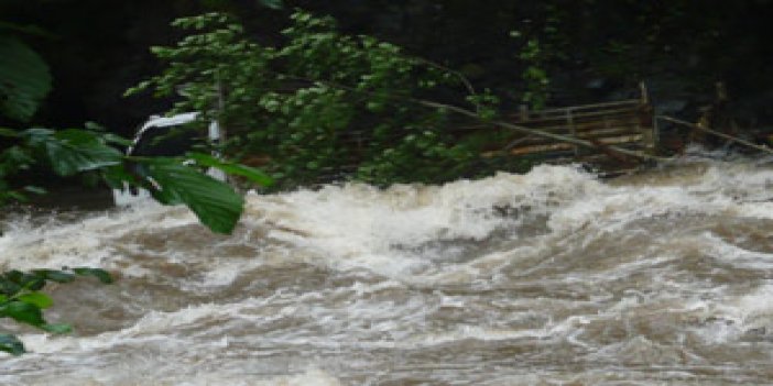 Rize'de kamyon dereye uçtu