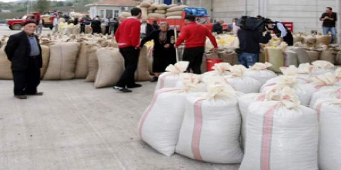 Ordu'da Fındık Fiyatları Artacak