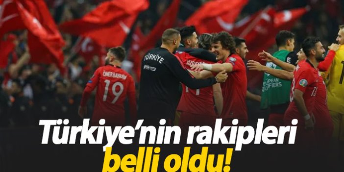 UEFA Uluslar Ligi'nde Türkiye'nin rakipleri belli oldu