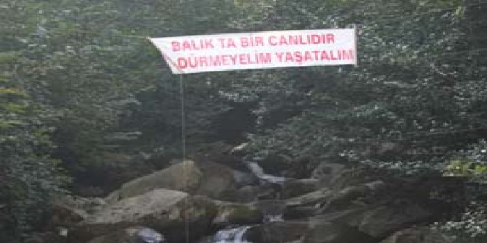 Rizeliler derelerine sahip çıkıyor