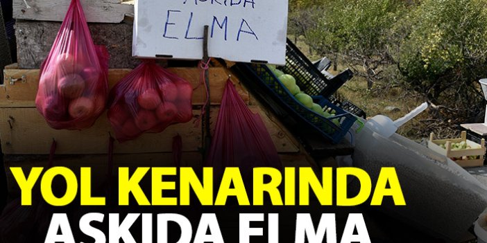 Gümüşhane'de yol kenarında ‘Askıda Elma’