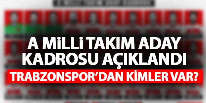 A Milli Takım aday kadrosu açıklandı! Trabzonspor'dan kimler var!