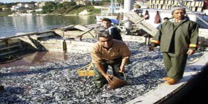 Acı gerçek hamsi ithal edebiliriz