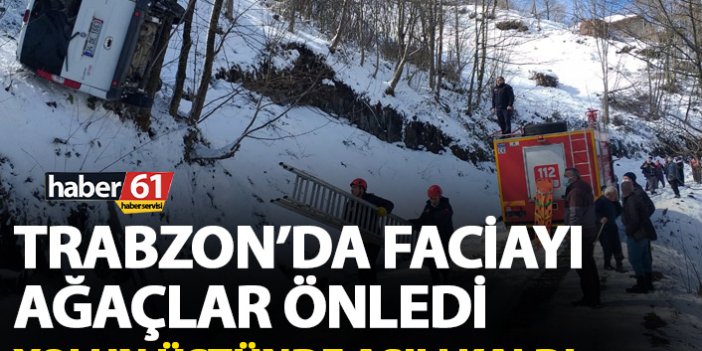 Faciayı ağaçlar önledi! Yolun üzerinde takılı kaldı