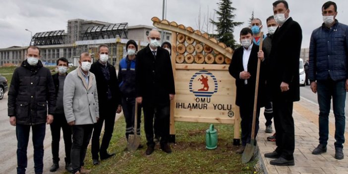 Ondokuz Mayıs Üniversitesi'nde "Ihlamur Yolu"