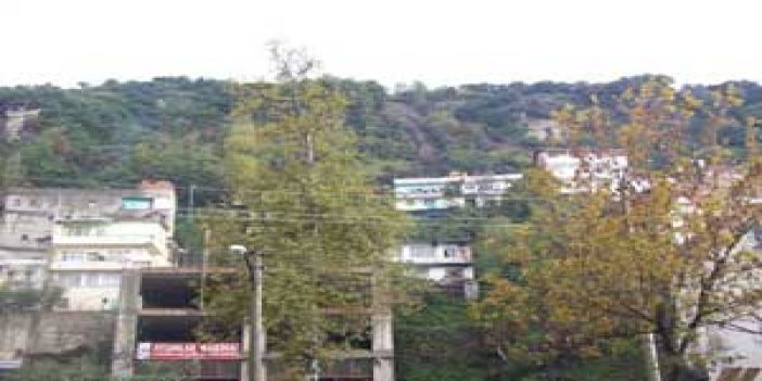 Trabzon'da 7 ev boşaltıldı