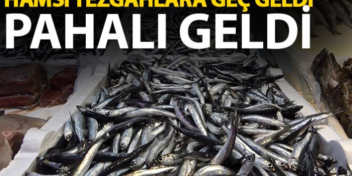 Trabzon'da hamsi tezgahlara geç geldi pahalı geldi