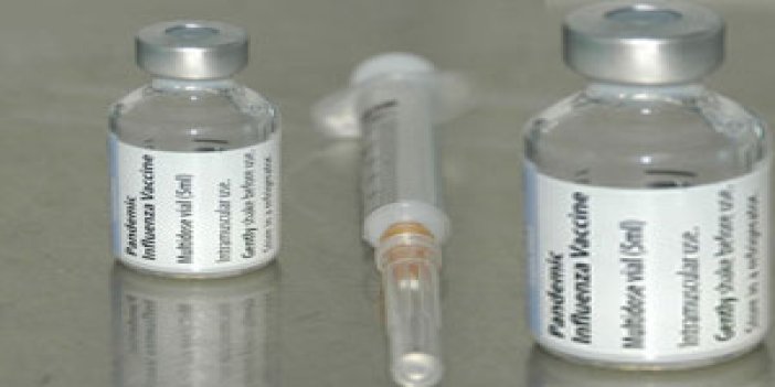 Domuz gribi aşısı öldürdü iddiası