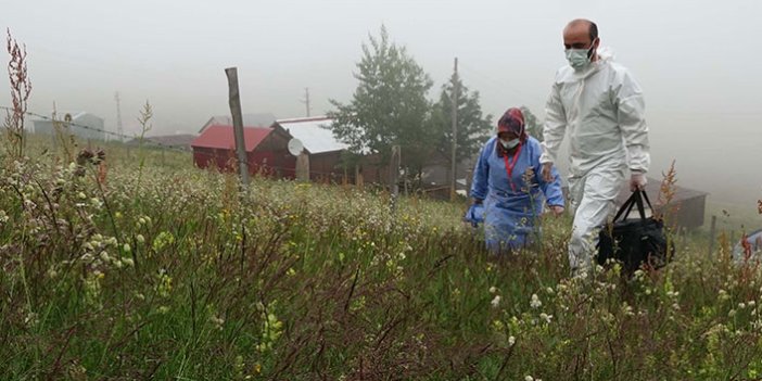 Karadeniz'in yaylalarında aşı seferberliği