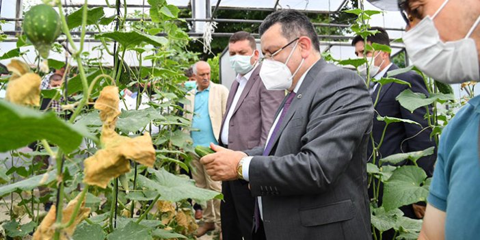 Genç: “Devletimiz tarım üreticilerine ciddi destek veriyor”