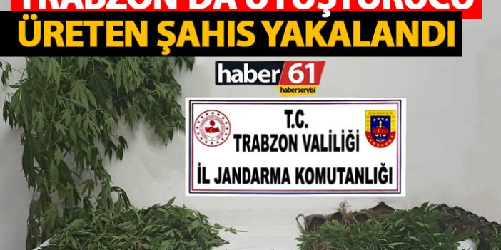 Trabzon'da uyuşturucu imalathanesine baskın! Suçüstü yakalandı