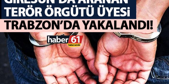 Giresun’da aranan terör örgütü mensubu Trabzon'da yakalandı