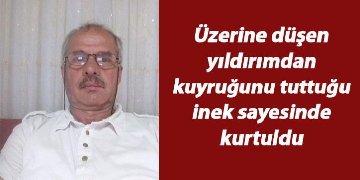 Üzerine düşen yıldırımdan kuyruğunu tuttuğu inek sayesinde kurtuldu