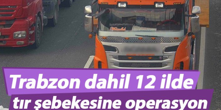 Trabzon dahil 12 ilde tır şebekesine operasyon