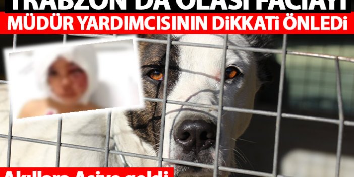 Trabzon'da olası faciayı müdür yardımcısının dikkati önledi