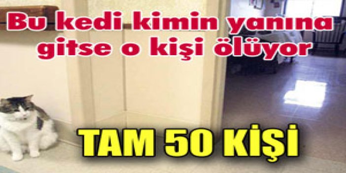 Kimin yanına gitse o ölüyor