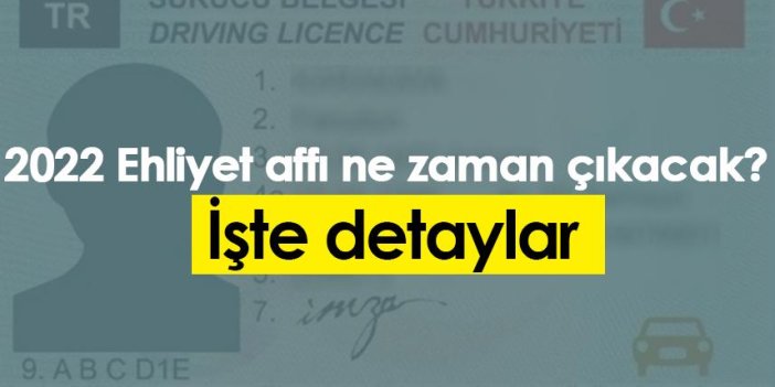 2022 Ehliyet affı ne zaman çıkacak? İşte detaylar