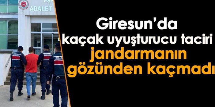 Giresun'da kaçak uyuşturucu taciri jandarmanın gözünden kaçmadı