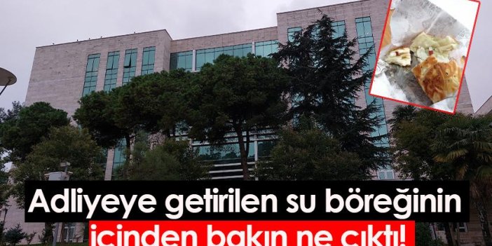 Samsun'da adliyeye getirilen su böreğinin içinden bakın ne çıktı!