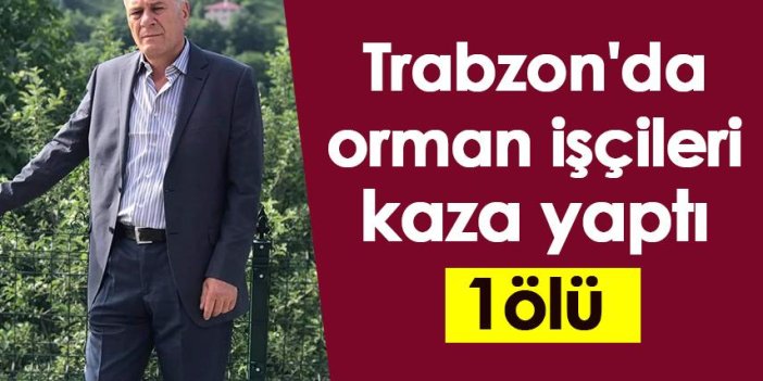 Trabzon'da orman işçileri fidan dikimi yolunda  kaza yaptı:1 ölü