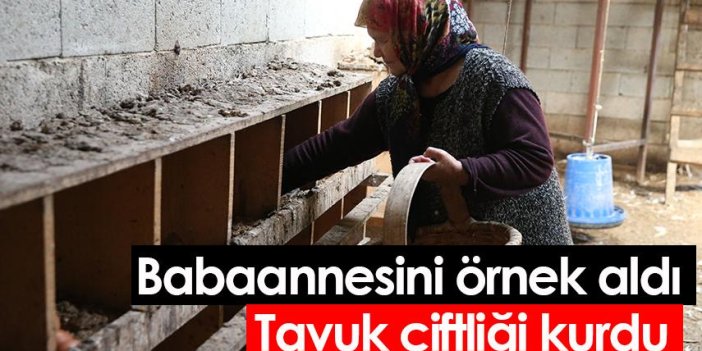 Babaannesini örnek aldı! Tavuk çiftliği kurdu