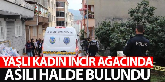 Samsun'da yaşlı kadın incir ağacına asılı halde bulundu