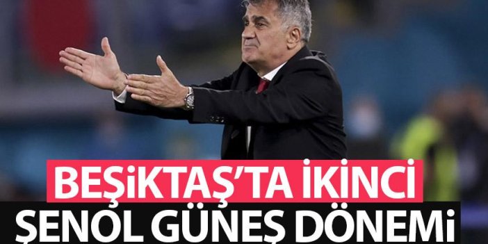 Beşiktaş'ın yeni teknik direktörü Şenol Güneş oldu