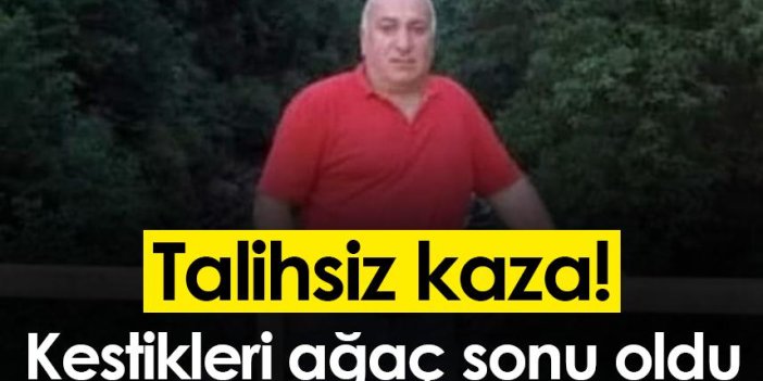 Ordu'da talihsiz kaza! Kestikleri ağaç sonu oldu