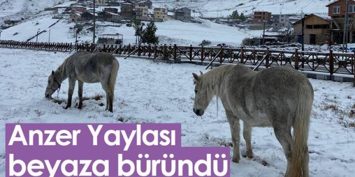 Rize'de Anzer Yaylası beyaza büründü 01 Kasım 2022