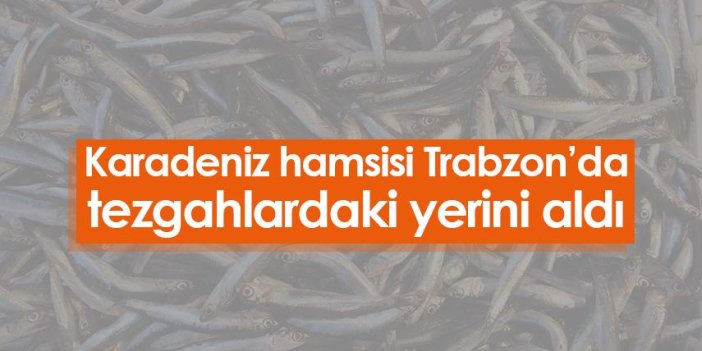 Karadeniz hamsisi Trabzon’da tezgahlardaki yerini aldı