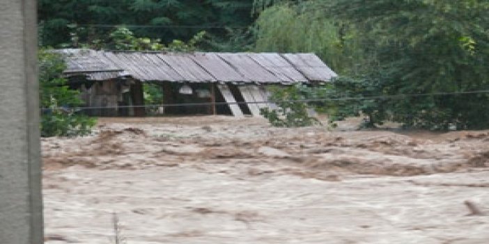 Bakan Eroğlu Artvin için ne dedi