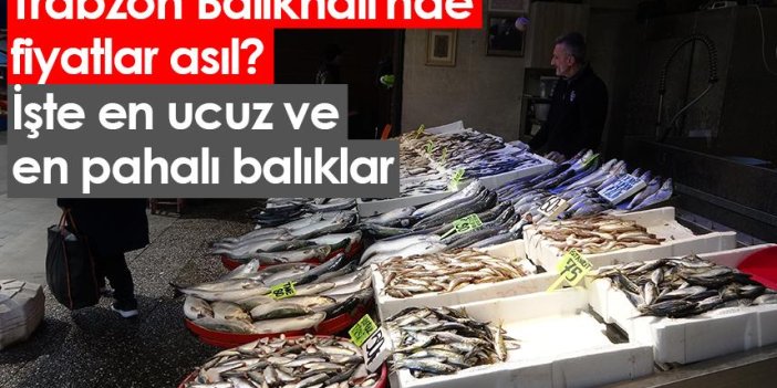 Trabzon Balıkhali'nde fiyatlar asıl? İşte en ucuz ve en pahalı balıklar