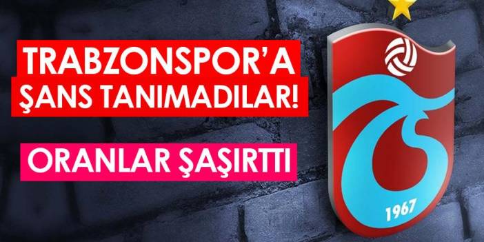 Trabzonspor'a şans tanımadılar! Şaşırtan oranlar