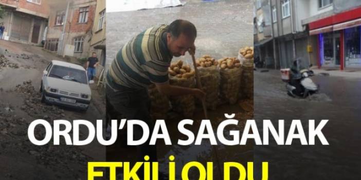 Ordu'da sağanak etkili oldu