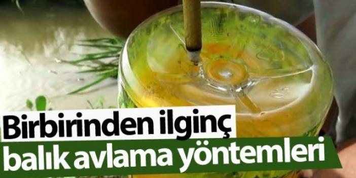 Birbirinden ilginç balık avlama yöntemleri