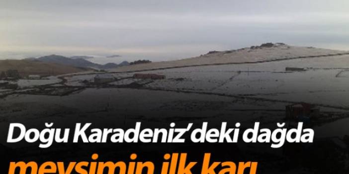 Doğu Karadeniz'deki dağda mevsimin ilk yarı yağdı