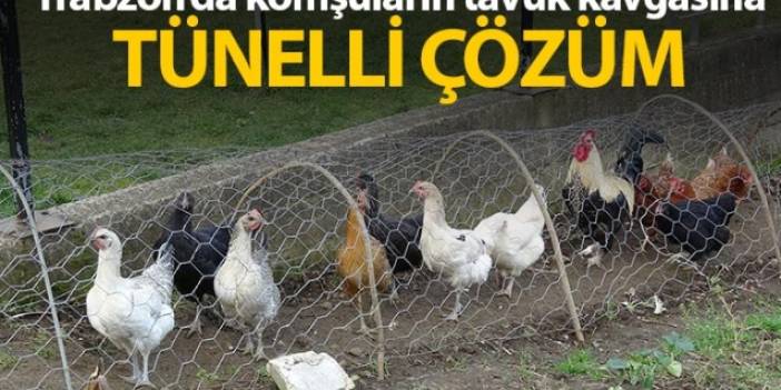 Komşular arası tavuk kavgasına tünelli çözüm