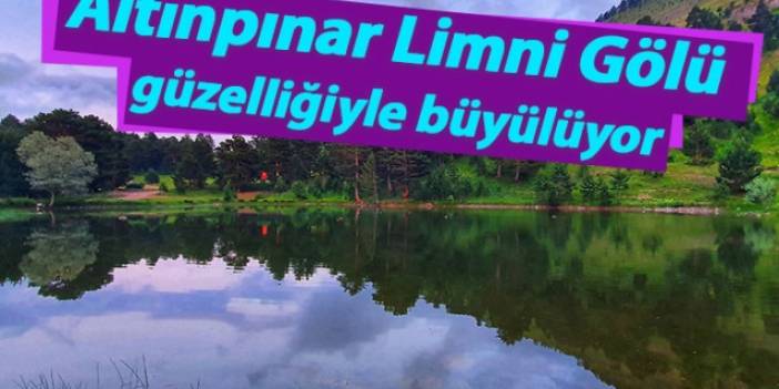 Altınpınar Limni Gölü güzelliğiyle büyülüyor