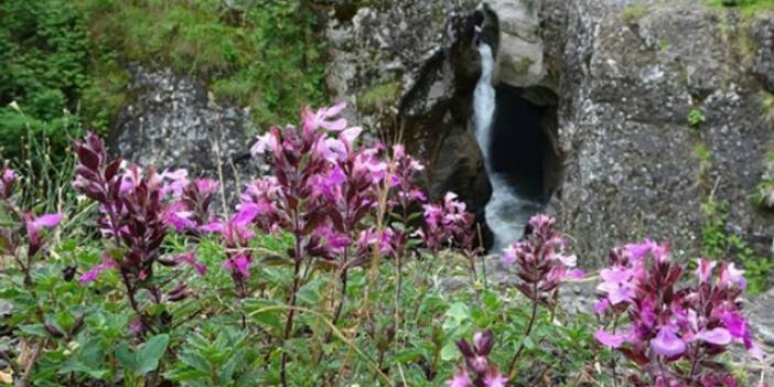 Kazankaya Şelalesi'nin turizme kazandırılması bekleniyor