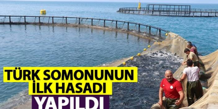 Türk somonunun ilk hasadı yapıldı. Foto Haber