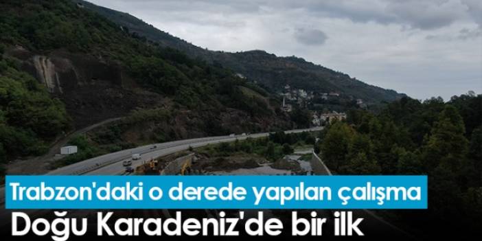 Trabzon'daki o derede yapılan çalışma Doğu Karadeniz'de bir ilk. Foto Haber