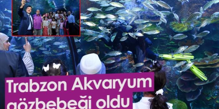 ‘Trabzon Akvaryum’ ziyaretçilerin gözbebeği oldu! Foto Galeri