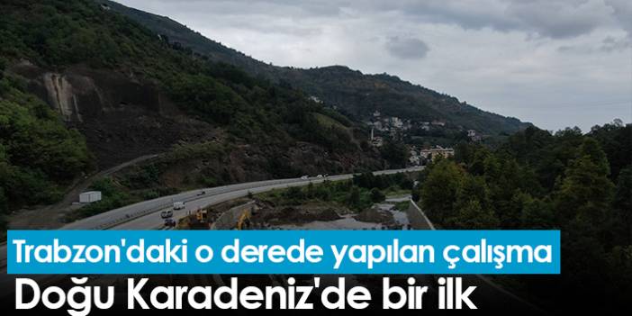 Trabzon'daki o derede yapılan çalışma Doğu Karadeniz'de bir ilk