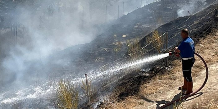 Ateşle oynadılar, 10 dekar alan kül oldu