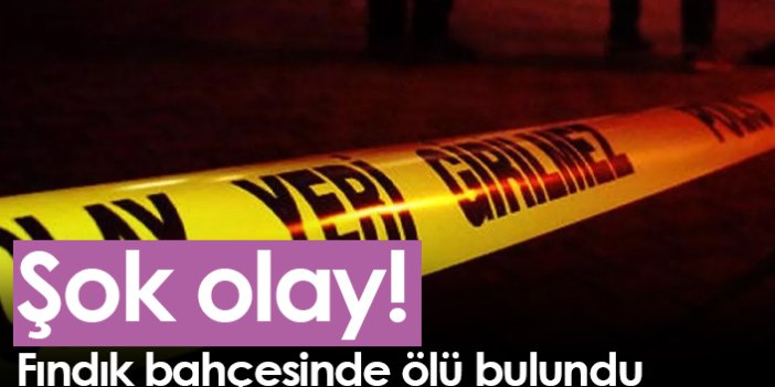 Samsun'da şok olay! Fındık bahçesinde ölü bulundu