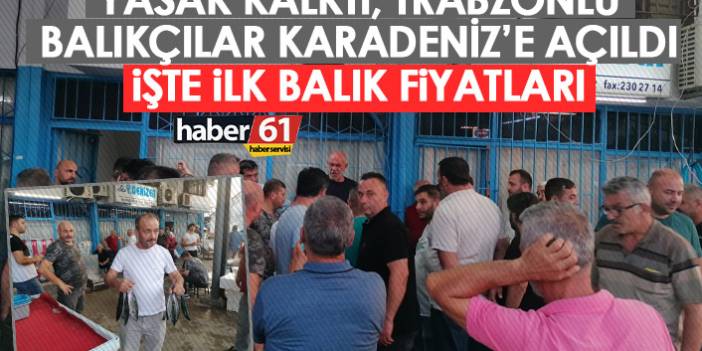 Yasak kalktı Trabzonlu balıkçılar Karadeniz'e açıldı! İşte ilk balık fiyatları