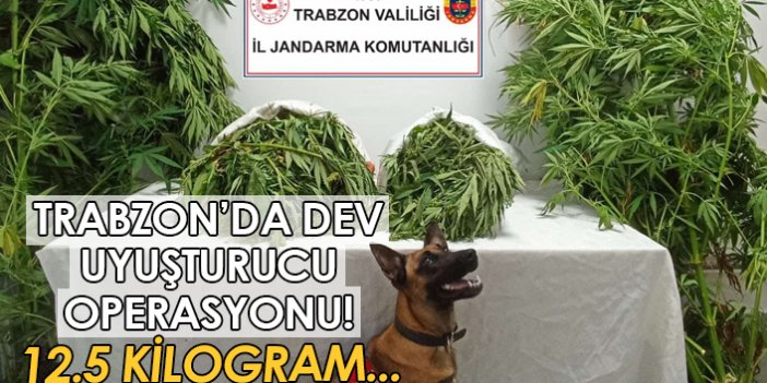 Trabzon’da dev uyuşturucu operasyonu!