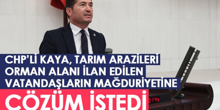 CHP'li Ahmet Kaya arazileri orman alanı ilan edilen vatandaşların mağduriyetine çözüm istedi