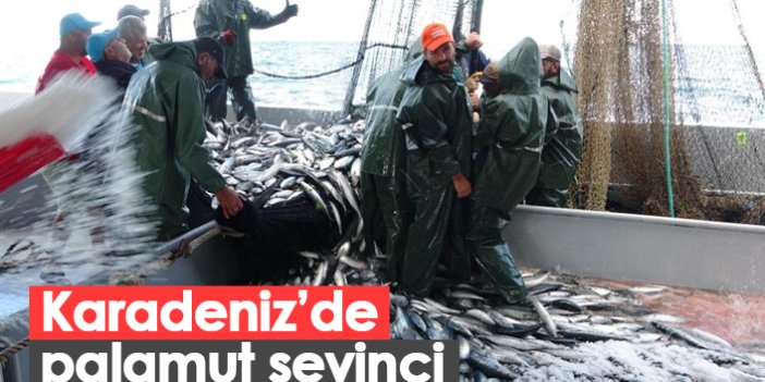 Karadeniz'de iri palamut sevinci